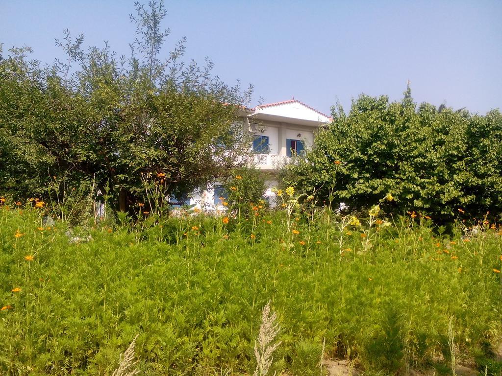 Guesthouse Karidia سكالا إيريسو المظهر الخارجي الصورة