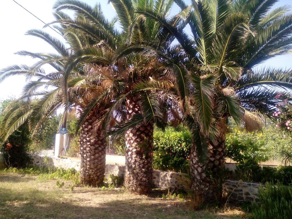 Guesthouse Karidia سكالا إيريسو المظهر الخارجي الصورة