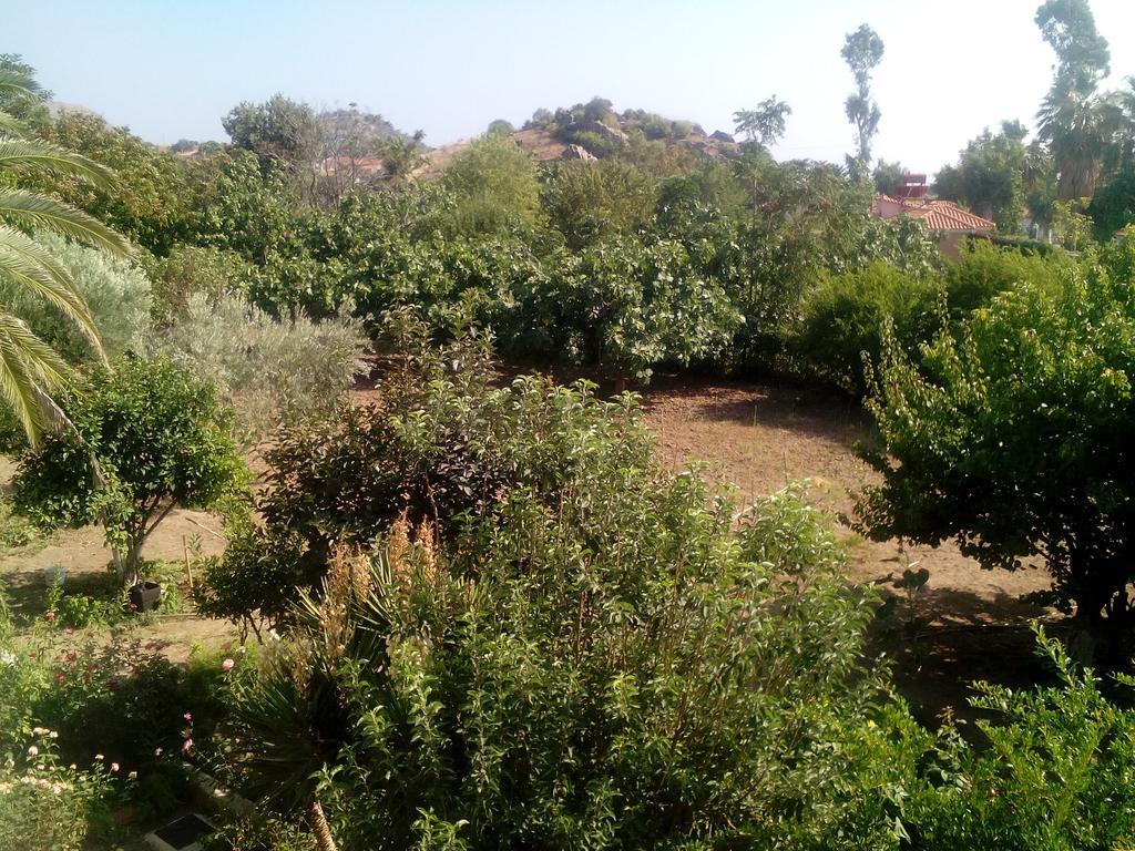 Guesthouse Karidia سكالا إيريسو المظهر الخارجي الصورة