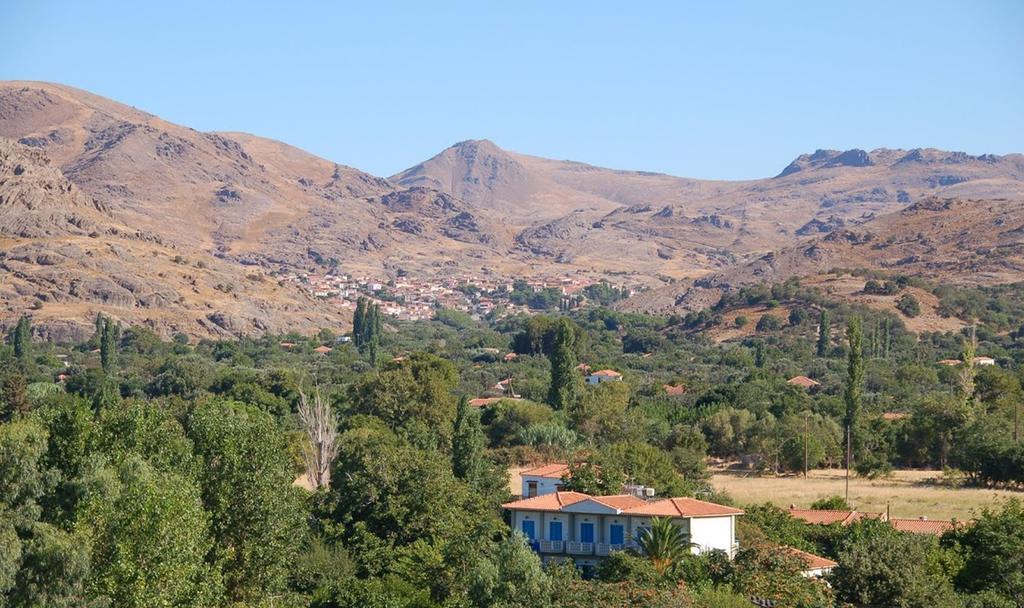 Guesthouse Karidia سكالا إيريسو المظهر الخارجي الصورة
