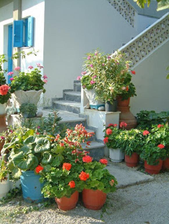 Guesthouse Karidia سكالا إيريسو المظهر الخارجي الصورة